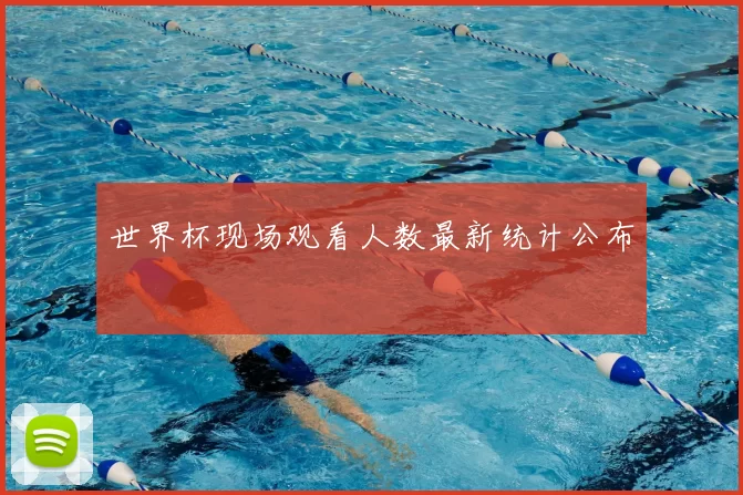 世界杯现场观看人数最新统计公布