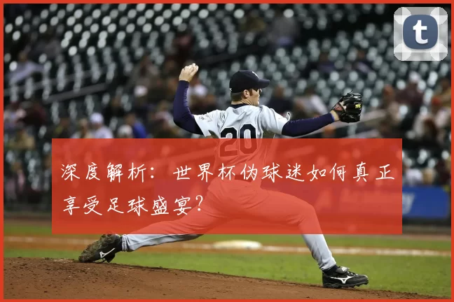 深度解析:世界杯伪球迷如何真正享受足球盛宴?