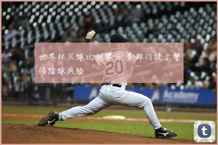 世界杯买球比例攀升 多部门提示警惕赌球风险