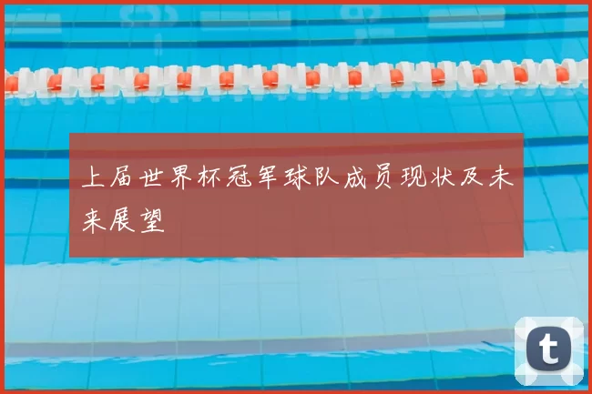 上届世界杯冠军球队成员现状及未来展望