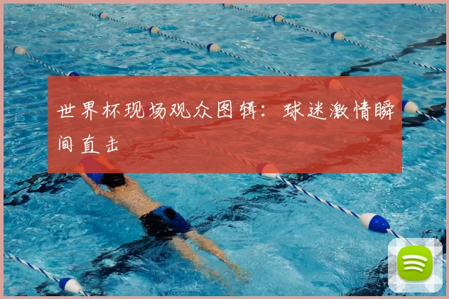 世界杯现场观众图辑:球迷激情瞬间直击