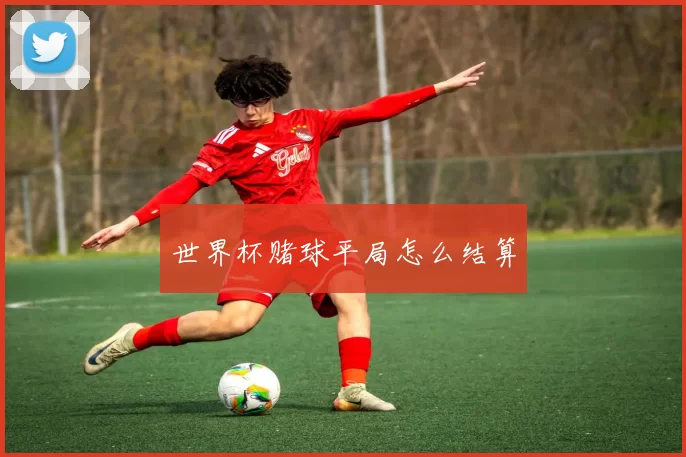 世界杯赌球平局怎么结算