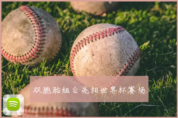 双胞胎组合亮相世界杯赛场
