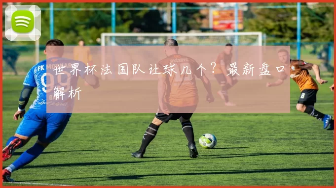 世界杯法国队让球几个？最新盘口解析
