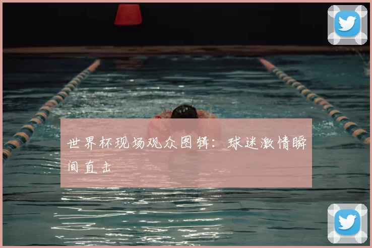 世界杯现场观众图辑:球迷激情瞬间直击