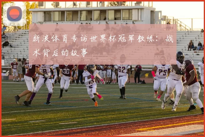 新浪体育专访世界杯冠军教练:战术背后的故事