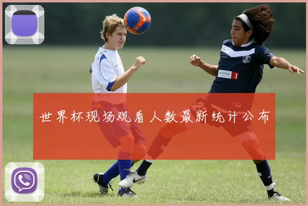世界杯现场观看人数最新统计公布