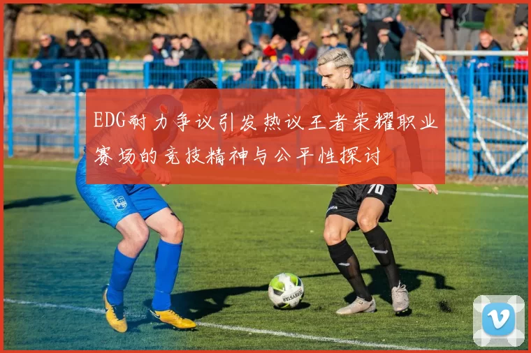 EDG耐力争议引发热议王者荣耀职业赛场的竞技精神与公平性探讨