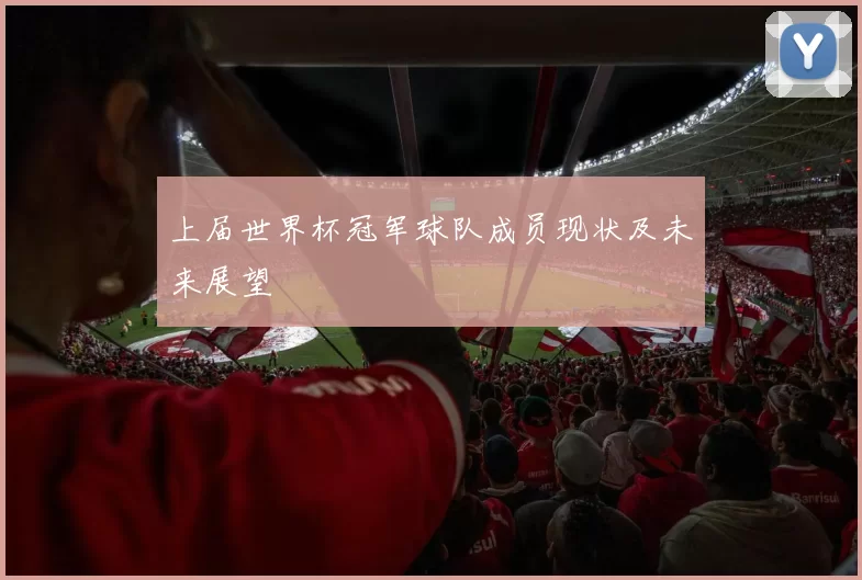 上届世界杯冠军球队成员现状及未来展望
