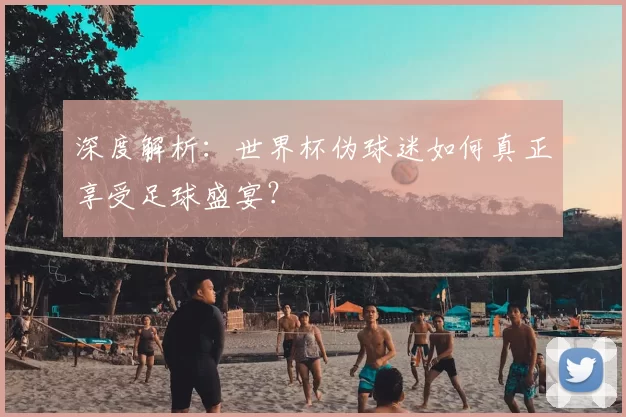 深度解析：世界杯伪球迷如何真正享受足球盛宴？