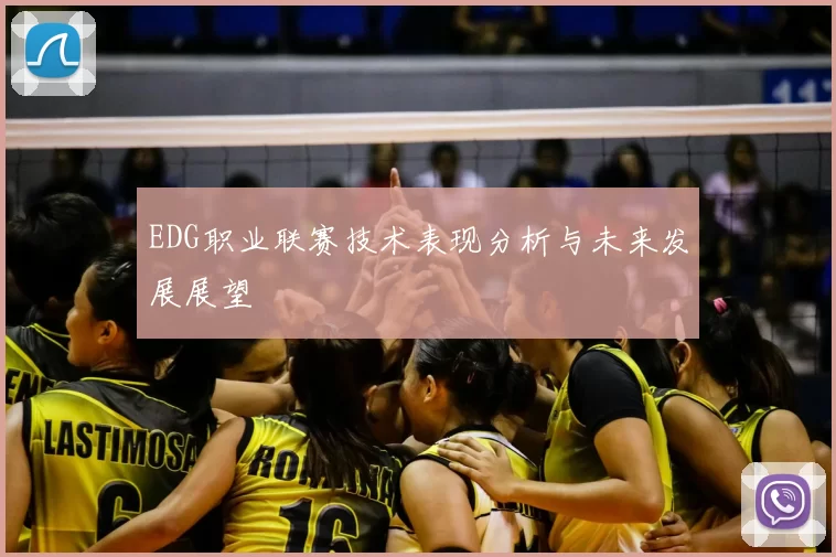EDG职业联赛技术表现分析与未来发展展望