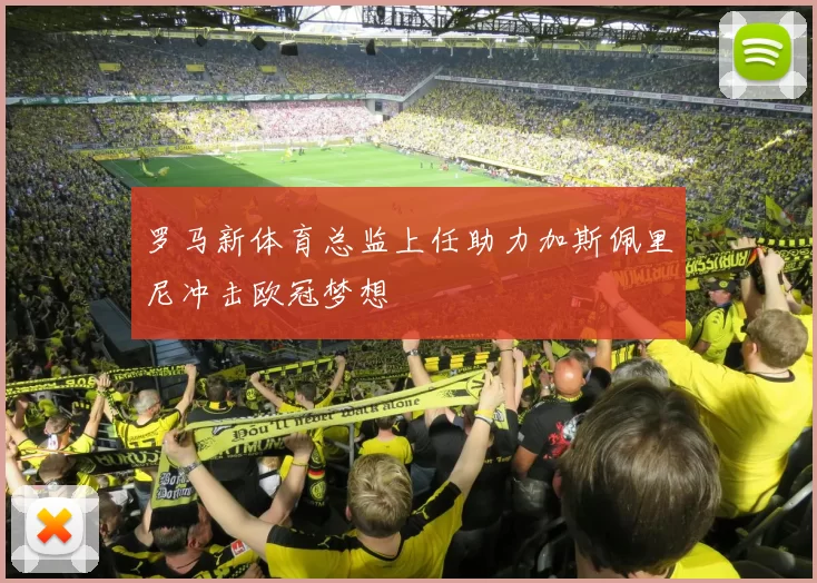 罗马新体育总监上任助力加斯佩里尼冲击欧冠梦想